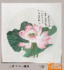 33、荷花斗方小品